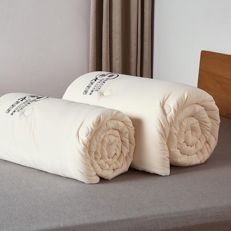 Good Sleep Soybean Fiber Winter Quilt