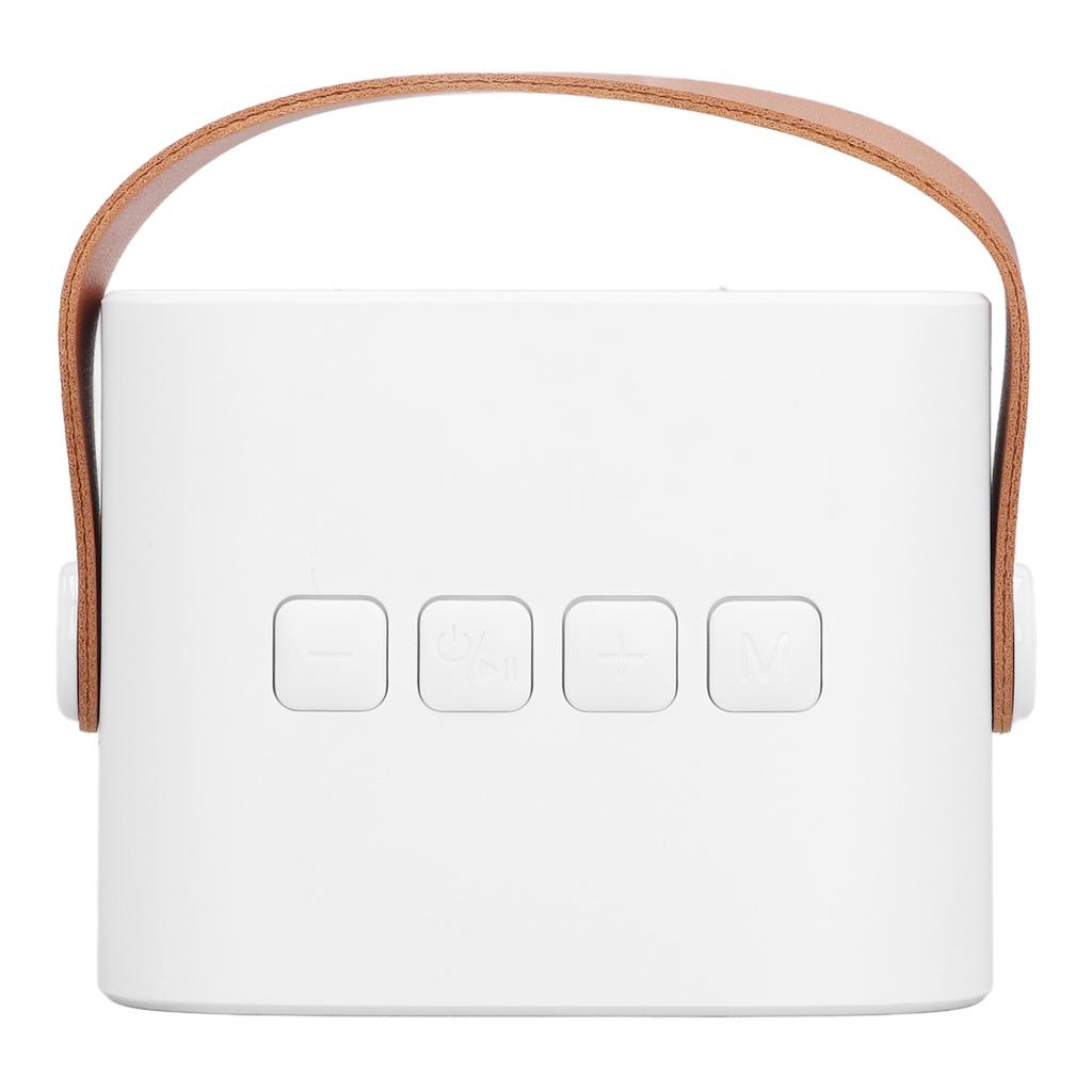 Детская караоке-машина Портативная Универсальная Долговечная Двойной микрофон Bluetooth-динамик для вечеринки