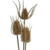 Hill Interiors Triple Teasel Artificial Flower