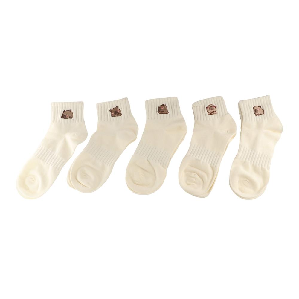 Cartoon Cotton Socks Soft Summer Hosiery Simple Capybara Socks Student