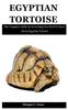 Книга Egyptian Tortoise : The Complete Guide On Everything You Need To Know About Egyptian Tortoise