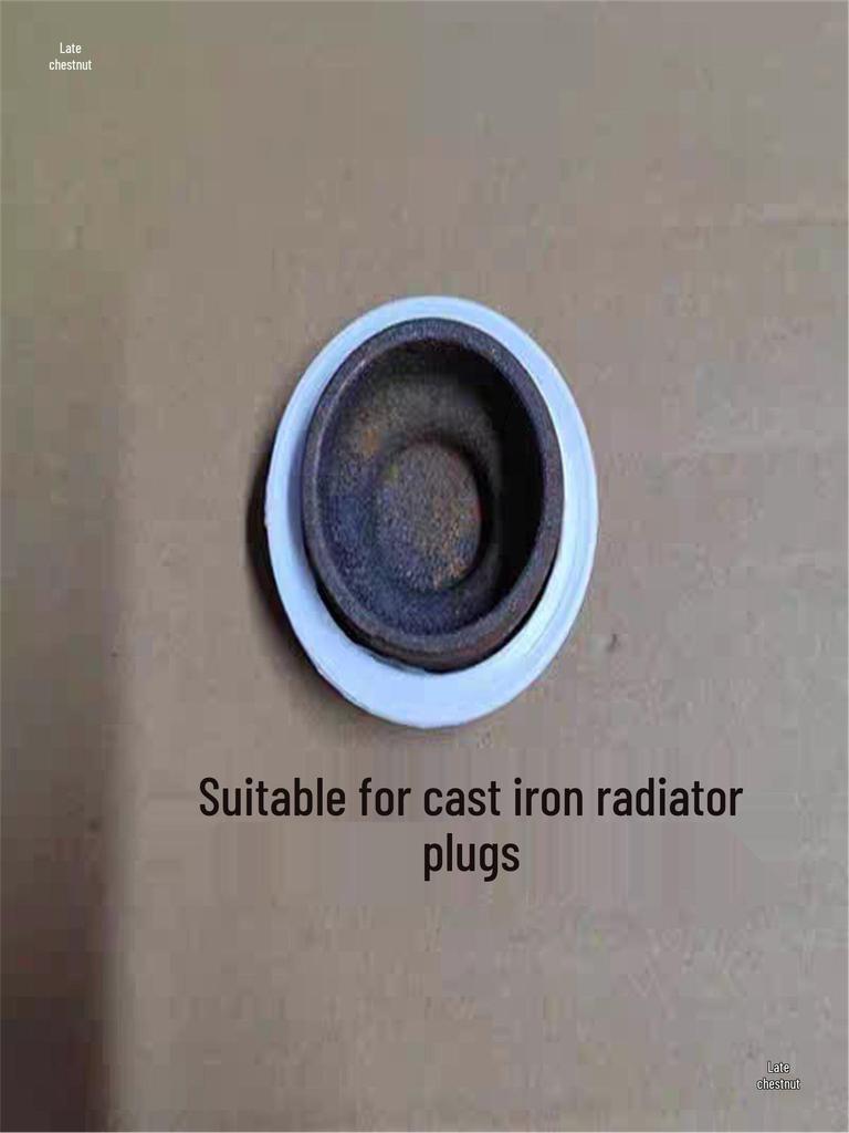 Cast Iron Radiator DN40 Sealing Ring with Steel Wire, Threaded & Flat Thickened Gasket