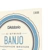 Струны для банджо D'Addario Phosphor Light, 5-струнные, с шариковым концом, .009-.020, EJ69B