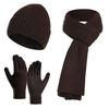 Thickened Beanies Scarf Gloves Set Fleece-lined Touchscreen Gloves 3 In 1 Set  for Women & Men