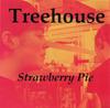 7-дюймовая пластинка TREEHOUSE - Клубничный пирог FLESH71 Meat Records 1990 US Рок Б/У