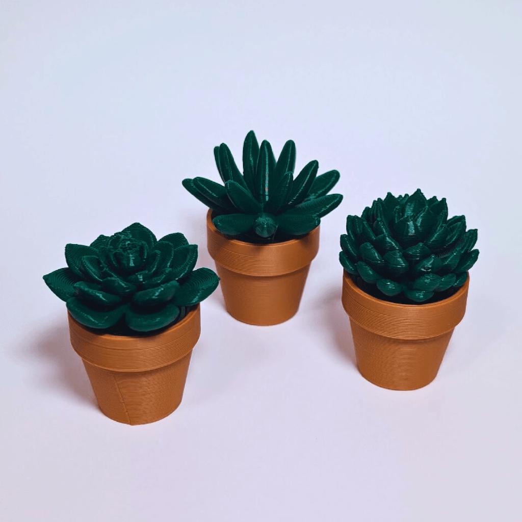 3D Printing Cactus Potted Ornaments for Home Decorations Green Plant Decompression Toys for Relaxation & Decor