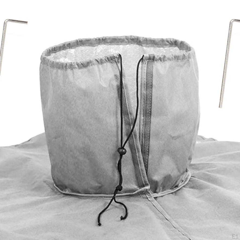 Корень пальмы для зимы, укрытие растений в холодных условиях