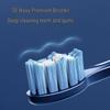 Flyco FT7205 Sonic Electric Toothbrush