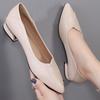 Single Shoe Women's Flat Bottomed Spring Thick Heel Pointed Leather Shoes Women's Work Shoes Lazy Shoes