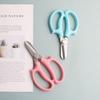 Pink Garden Pruning Shears Blue Garden Scissors Fishing Tool Floral Scissors  Garden Pruners