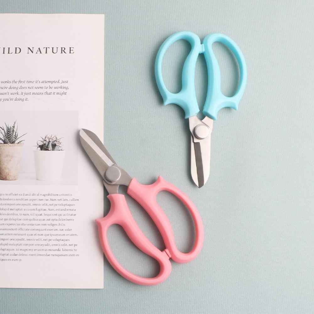 Pink Garden Pruning Shears Blue Garden Scissors Fishing Tool Floral Scissors Garden Pruners