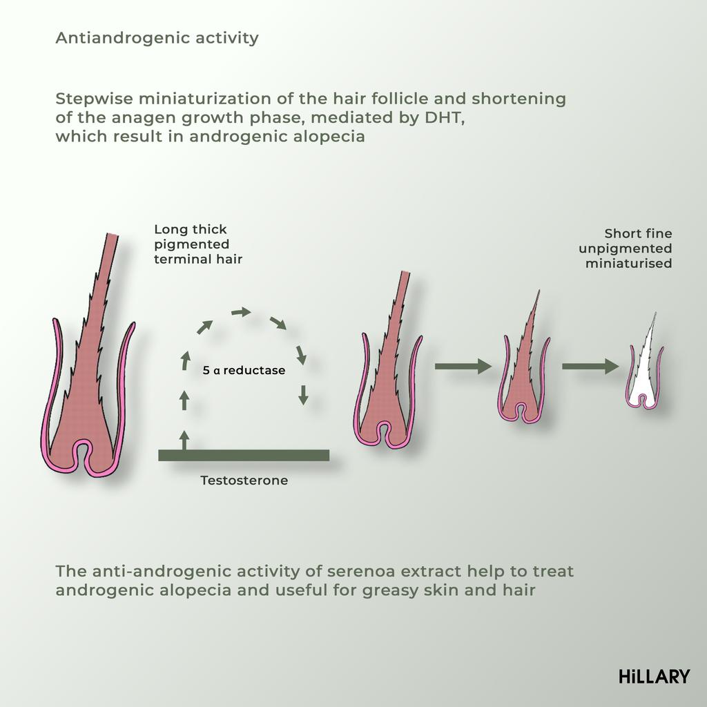 Маска против выпадения волос Hillary Serenoa & РР Hair Loss Control, 200 мл