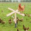 Chicken Perch Toy Wooden Chick Perch Stand with Metal Ground Stake Coop
