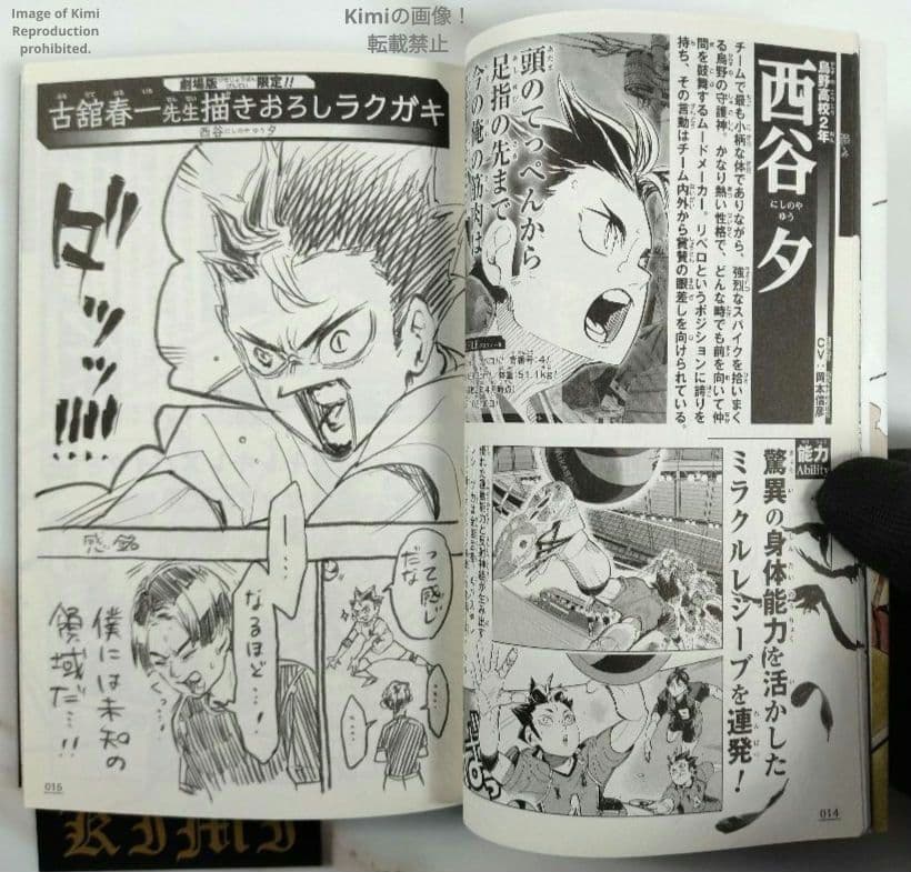 Haikyu Vol 33.5 The Movie The Battle at the Dump Admission 2024 Comic, Manga Book