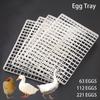 1Pcs Chicken Eggs Tray For Duck Quail Bird Poultry Egg Incubator Machine