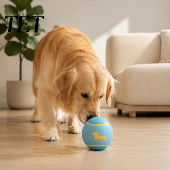 Interactive Training Gear for Puppies Latex Squeaky Dog Ball, Fetch Cute Dachshund Pattern, Toys Indoor Outdoor Play Chew Toy Small Medium Dogs