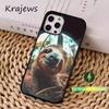 Cute Animal Sloth  Case  For iPhone 16,15,14,17,13,12,11,Pro,Max,Plus,Mini, Magsafe,Magnetic Wireless Charging Case