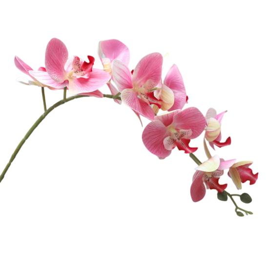 Eco-friendly Artificial Flower Realistic Great Ornamental Simulation Phalaenopsis