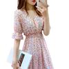 New Chiffon Floral Dress for Women Summer Korean Version Short Sleeve Long Dress V-Neck Fairy Dress