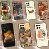 Белка Милые Животные Для Samsung Galaxy M20 M30s M31 M51 M15 M55 M13 M23 M33 M53 M12 M32 M52 M14 M34 M54 Чехол