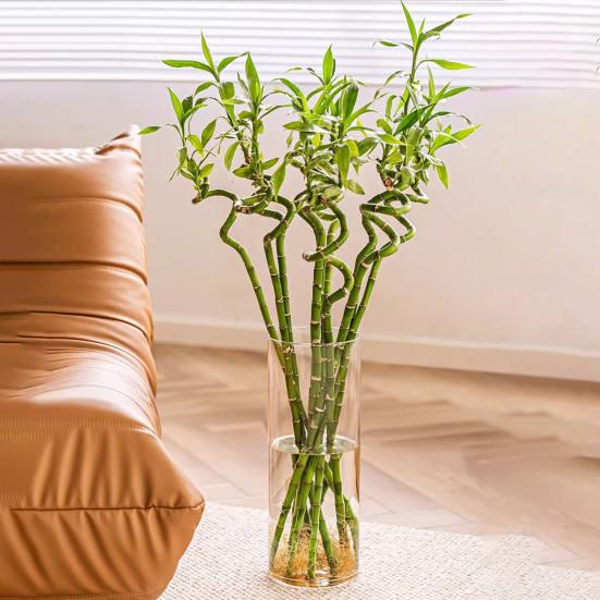 Прозрачная цилиндрическая ваза для цветов, свадебная вечеринка, обеденный стол, центральный элемент, гидропонный держатель для цветов, прозрачный