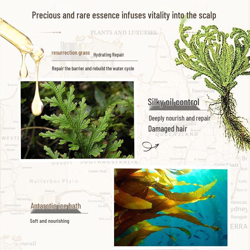 Plant Whisper Oil Control & Volumizing Hair Care Set