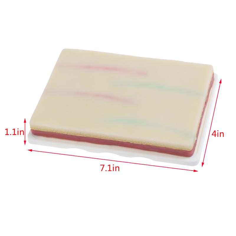 Модель для отработки навыков венепункции. Силиконовая учебная модель для наложения швов на кожу человека.