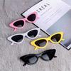 Vintage Sunglasses Woman Sexy Retro Small Cat Eye Sun Glasses Eyewear For Women Lens Shades