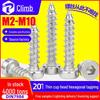 201 Stainless Steel Hexagonal Self-Tapping Screw with Low Cylindrical Head - M2/M3/M4/M5