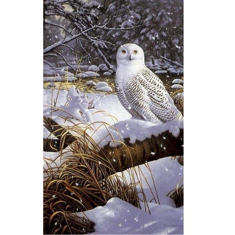 DIY Сова 5D алмазная живопись полная круглая дрель вышивка крестиком мультфильм животных Алмазная вышивка Стразы Мозаика домашний декор