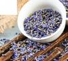 Xun Yi Cao Lavender/Lavandula angustifolia Mill 100г