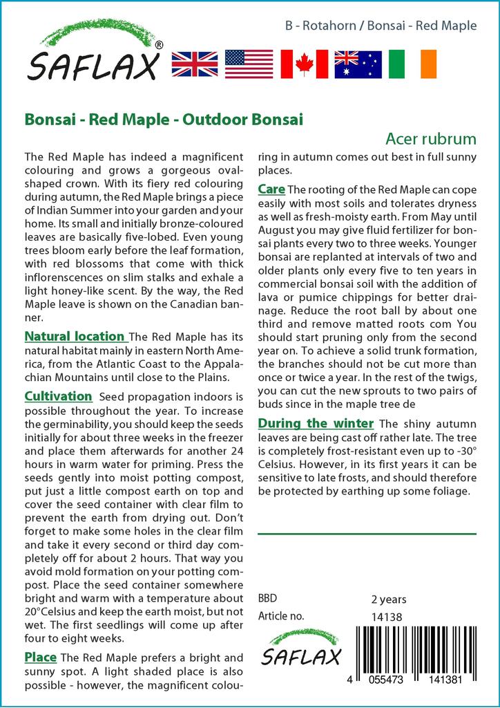 SAFLAX Бонсай - Красный клен - 20 семян - С горшечным субстратом для лучшего выращивания - Acer Rubrum