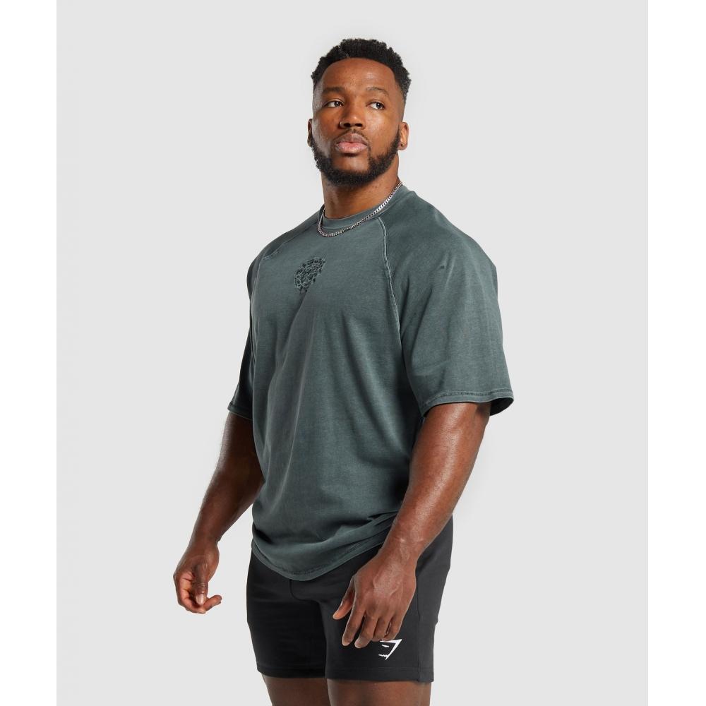 Gymshark Футболка Premium Legacy Темно-бирюзовая A6A7C TBQZ