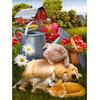 Diamond Craft Painting Diamond Embroidery Craft Painting Pig and Dog Sleeping Animal Flower Wall Art