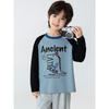 Brand Export Children's Clothing, Big Kids' Raglan Long-Sleeve T-Shirt, Boys' Trendy Cartoon Dinosaur Print Pure Cotton Base Shirt