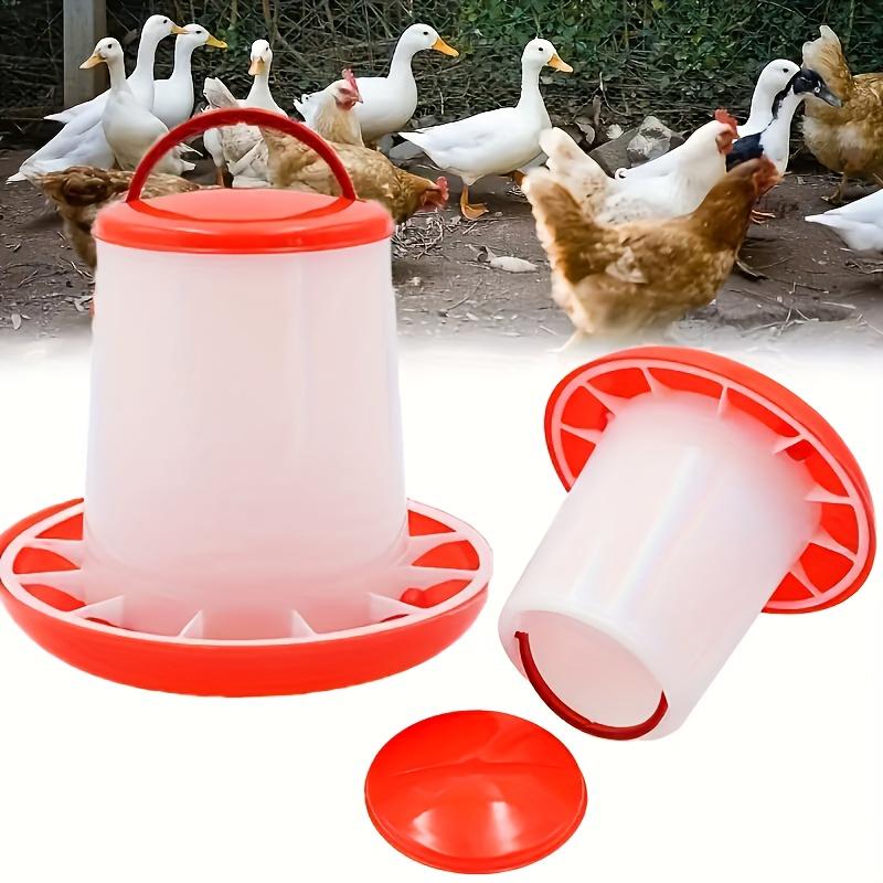 Chick Quail Hanging Feeder Set, Outdoor Farm Chicken House Chick Feeder and Water Container, Poultry Feeding Kit