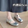 Inner Height Increase 5cm Thick Heel Mary Jane Shoes Women's 2025 Spring and Autumn New Velcro Retro Square Head Shallow Mouth Single Shoes