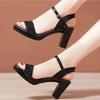 Fashion New Summer Women's Thick Heel Thick Sole Sandals Open Toe Ankle Strap Gladiator Shoes Women's Outdoor Retro Formal High Heels