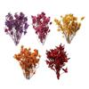 Dried Flower Bouquet Dried Flower Arrangements Dry Flower Bundle for Office