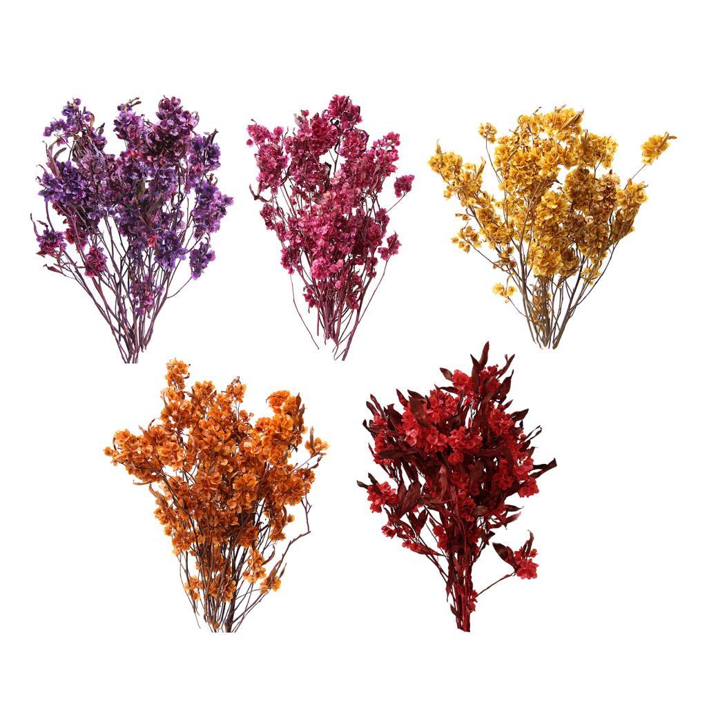 Dried Flower Bouquet Dried Flower Arrangements Dry Flower Bundle for Office