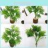 Capillus Artificial Adiantum Veneris Plant Ecofriendly Coating Decoration Home