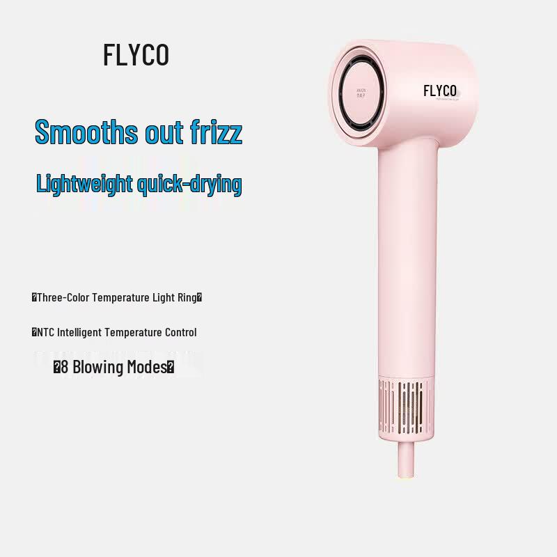 Flyco Высокоскоростной фен с отрицательными ионами, штекер CN (адаптер в комплекте)