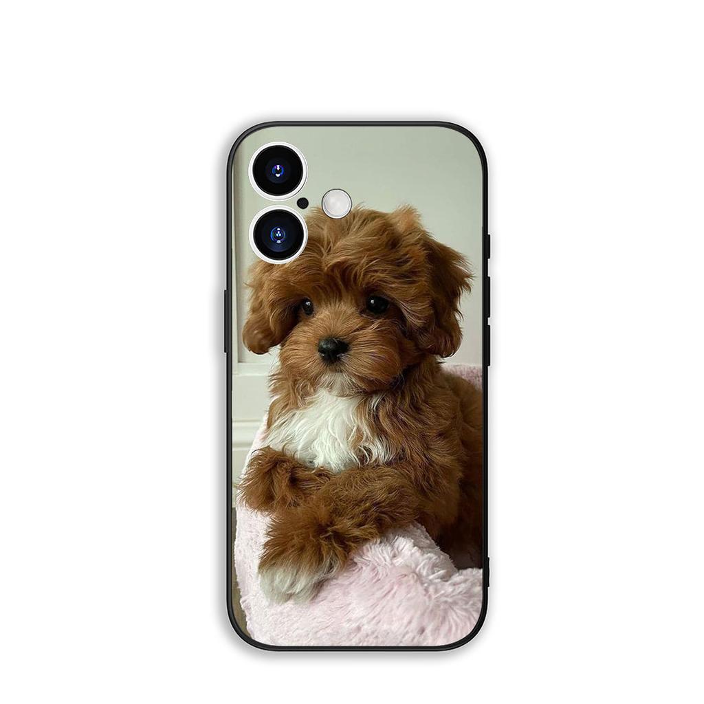 Чехол Cover для Samsung Galaxy A55 A56 A25 A36 A54 S8 S9 S21 S20 FE A53 A13 A12 A14 A33 A70 A71 A51 A21S Чехол Собака Пудель
