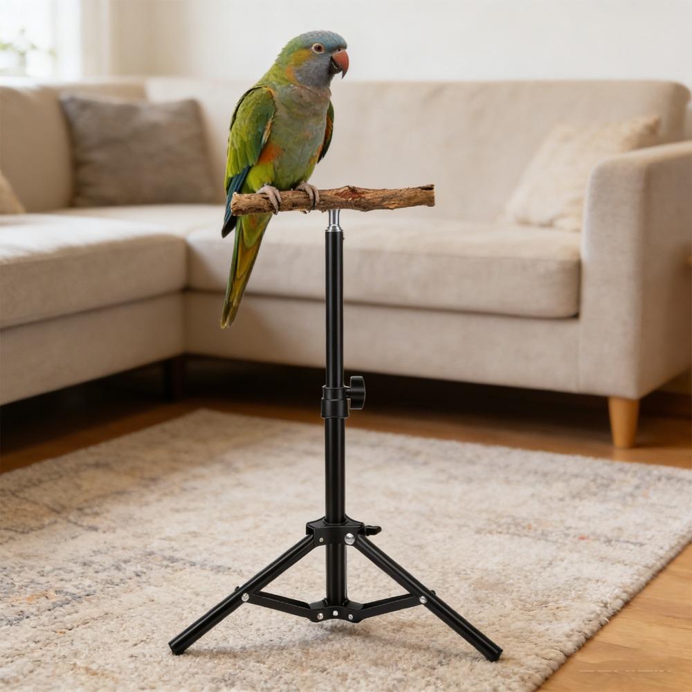 Alloy Bird Training Perch Adjustable Height Outdoor Bird Stand Indoor Play Area