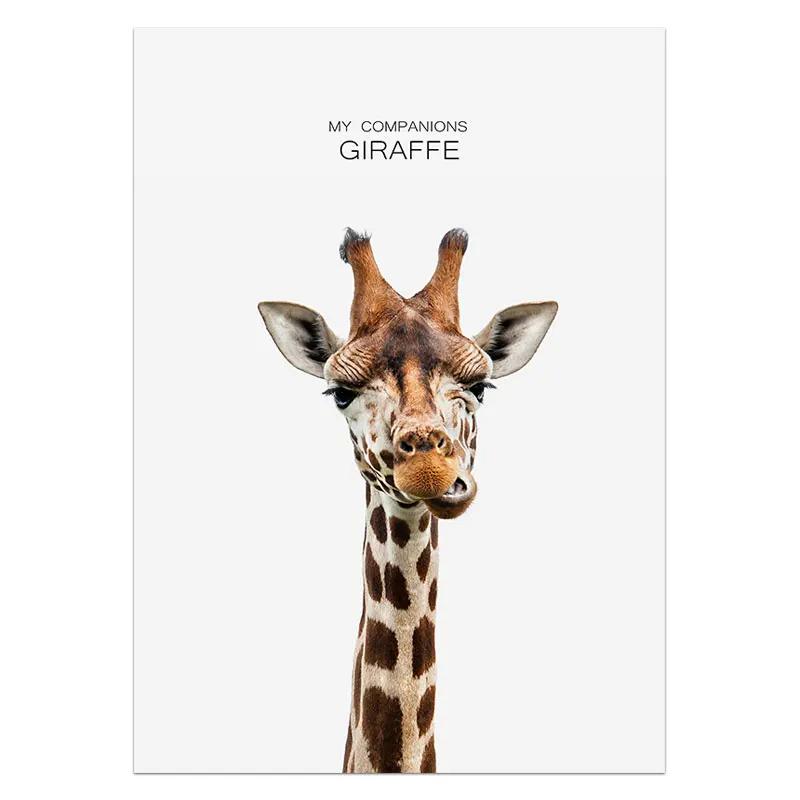 Плакаты и принты с животными, кролик, жираф, свинья, панда, лев, холст, картина, детская настенная живопись, скандинавская картина, украшение для детской комнаты