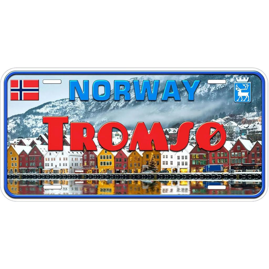 Vintage License Plates Decoration Signs Vintage New York Zurich Dublin Athens City Tags Metal Automotive Signs For Car Front