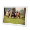 Digital Photo Frame 1080P Electronic Photo Frame Support Intelligent Remote Control 100‑240V 17in
