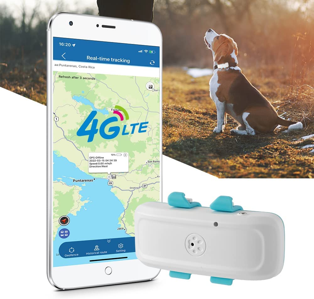 GPS-трекер в реальном времени для собаки кошки 4G LTE GPS-трекер для питомца TK911pro Водонепроницаемый GPS с бесплатным приложением и устройством слежения на платформе