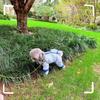 Зимняя хлопковая куртка для собак женских пород, 4-лапый комбинезон с закрытым животом и D-кольцом на спине, одежда для щенков и домашних животных