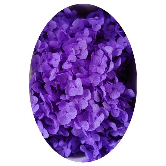 1 коробка, головки сушеных цветов, цветные, изысканные, 21 стиль, отличные привлекательные цветы гортензии, домашний декор